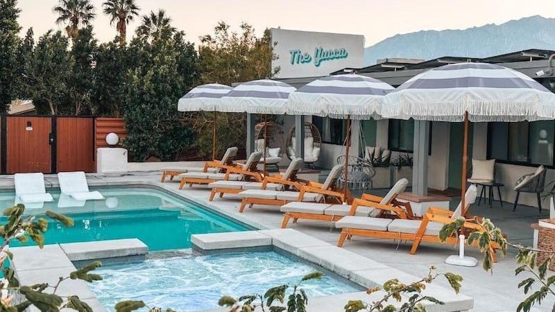 Yucca plant with green leaves poolhouse on background