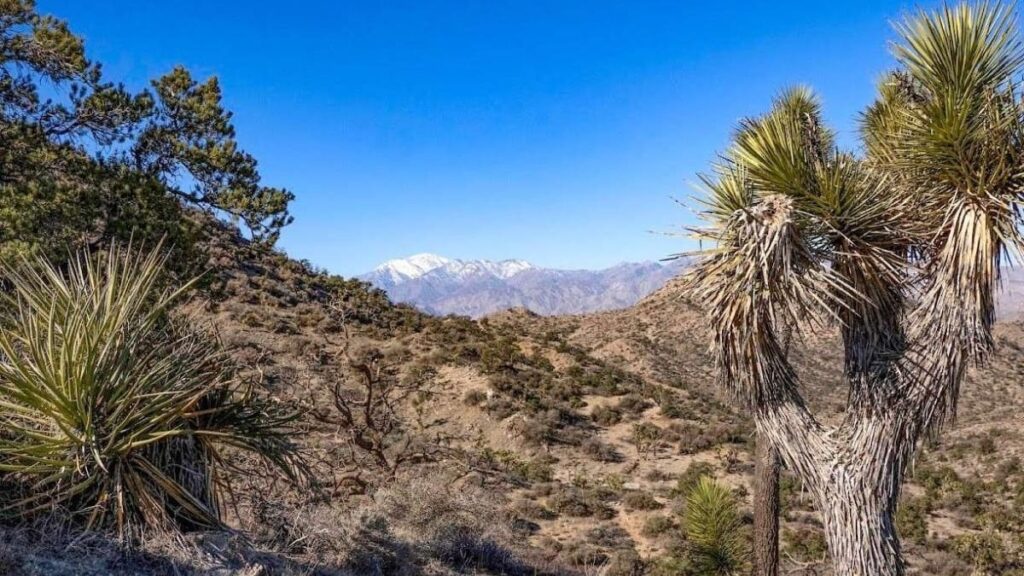 Panorama Loop Trailhead