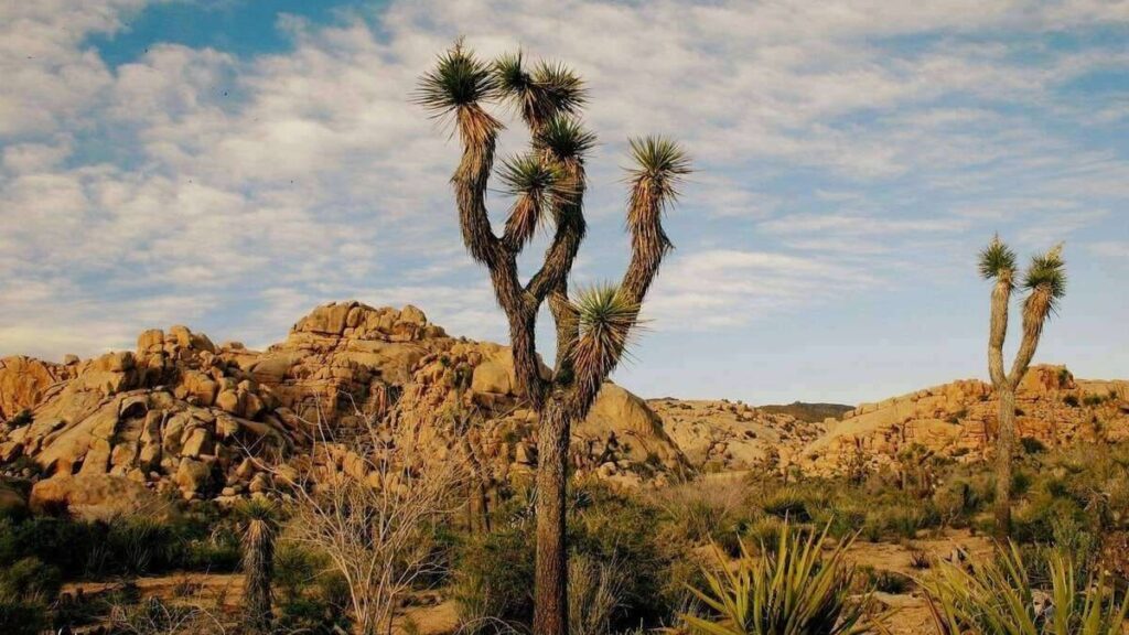 Hidden Valley Nature Trail