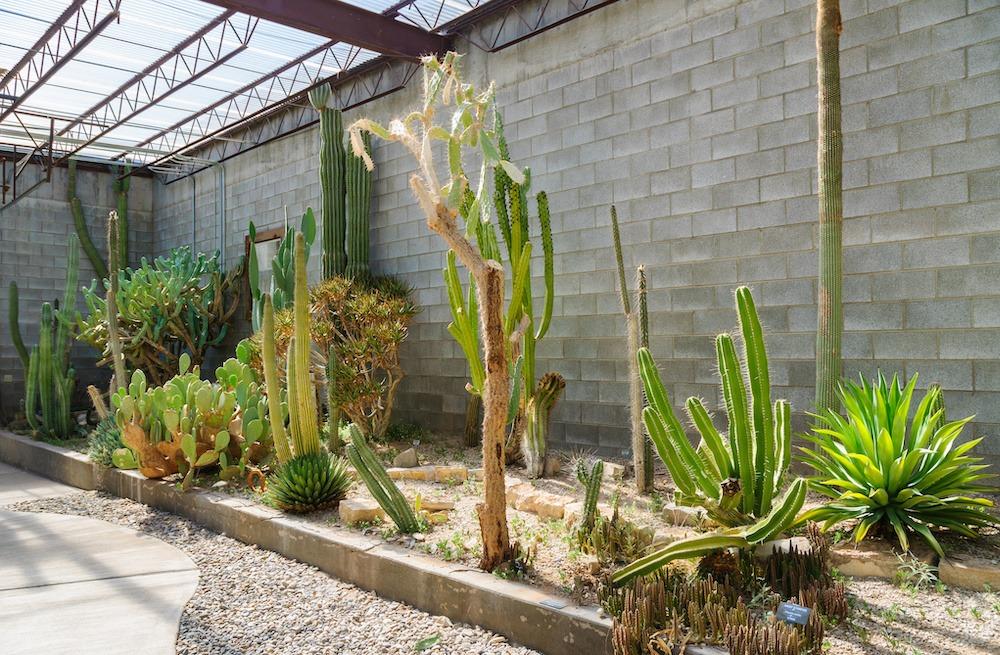 Photography of a botanical garden