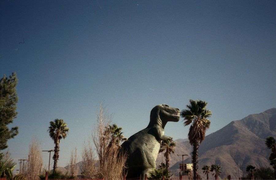 gigantic dinosaur in cabazon california palm trees and mountain views