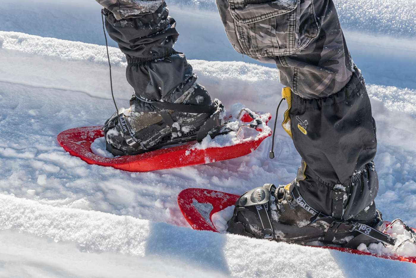 30447940 Close-up view of snowshoes on a snowy trail in the Italian Alps.