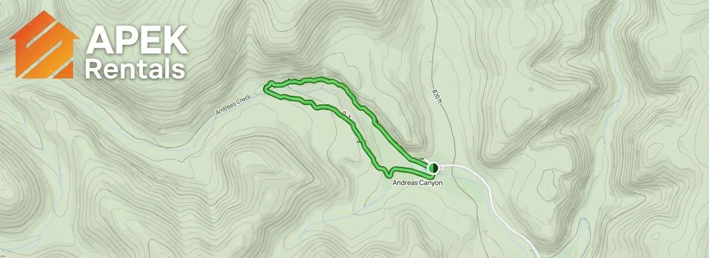 Andreas Canyon Trail Map