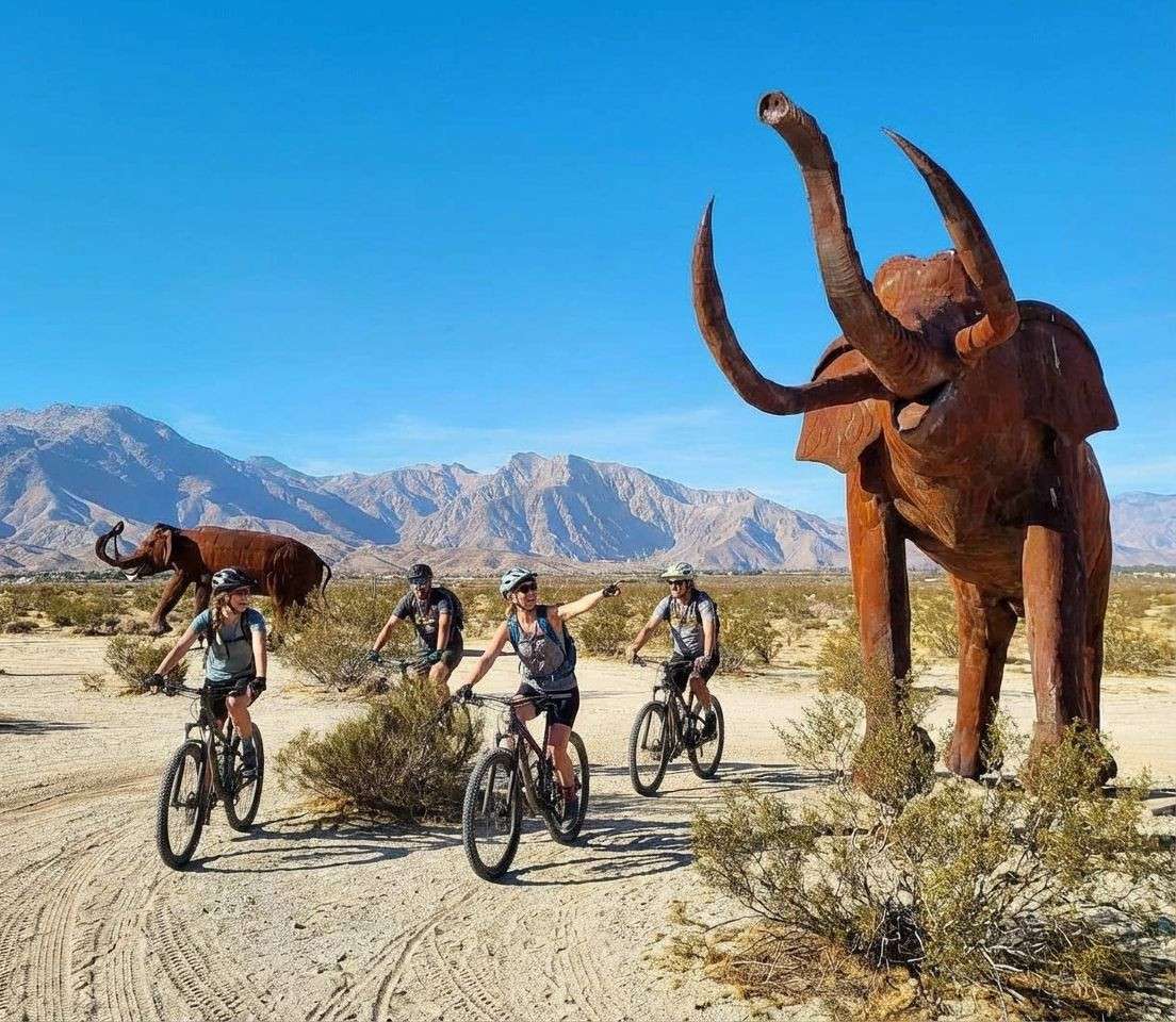 Group of friends with their bikes exploring Anza-Borrego Desert State Park