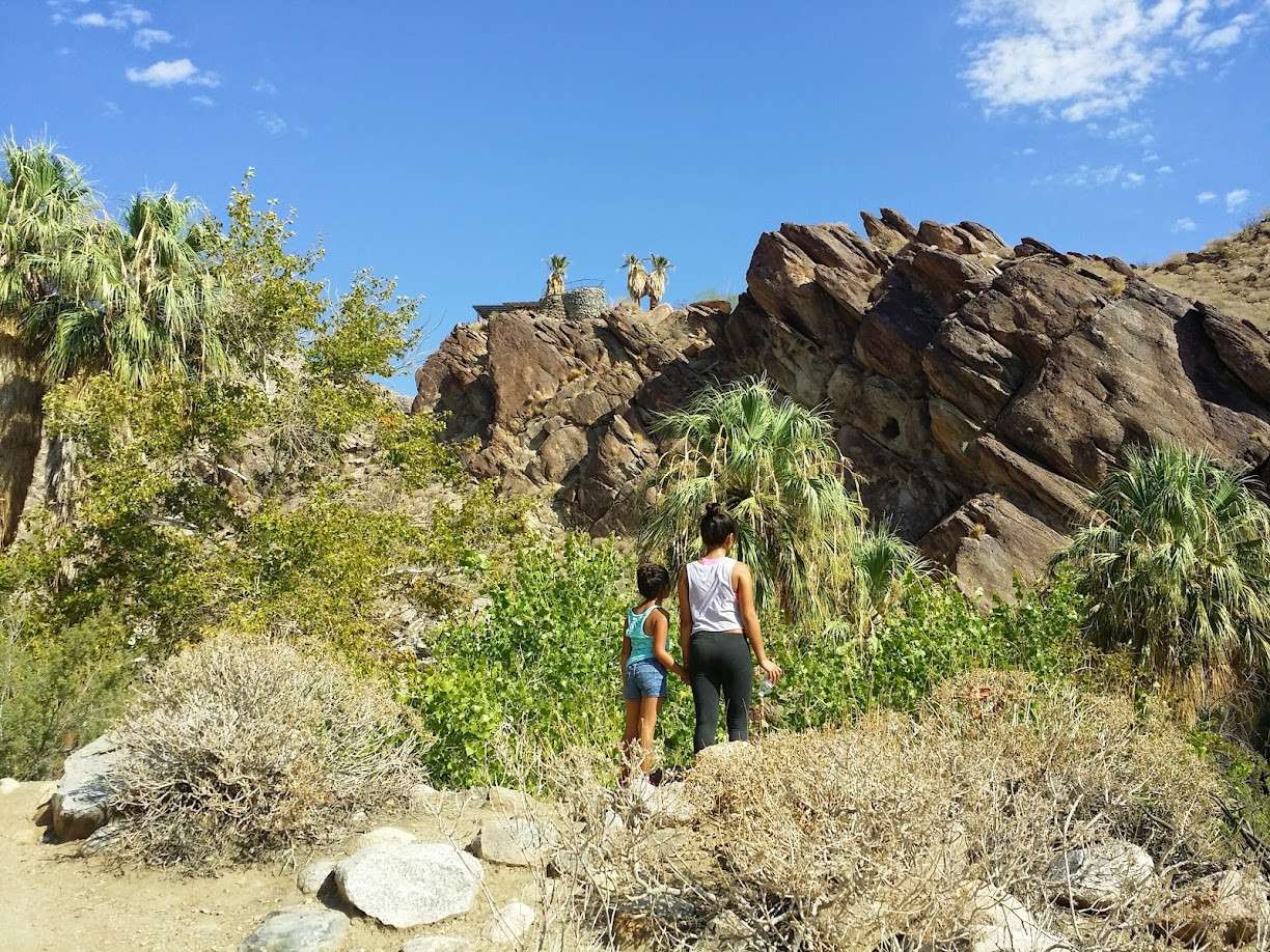 Tahquitz Falls trail scenery
