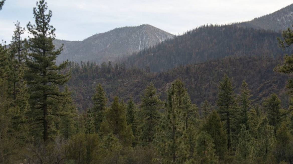 Alpine Pedal Path along the north shore of Big Bear Lake