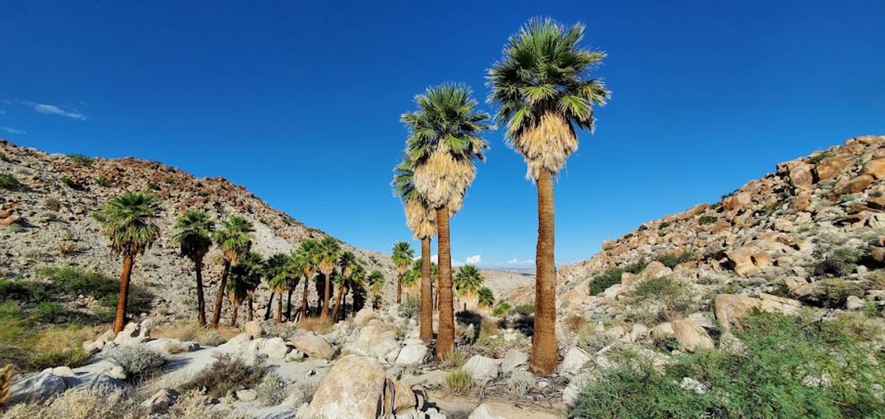 Wide open desert landscape at Anza-Borrego Desert State Park