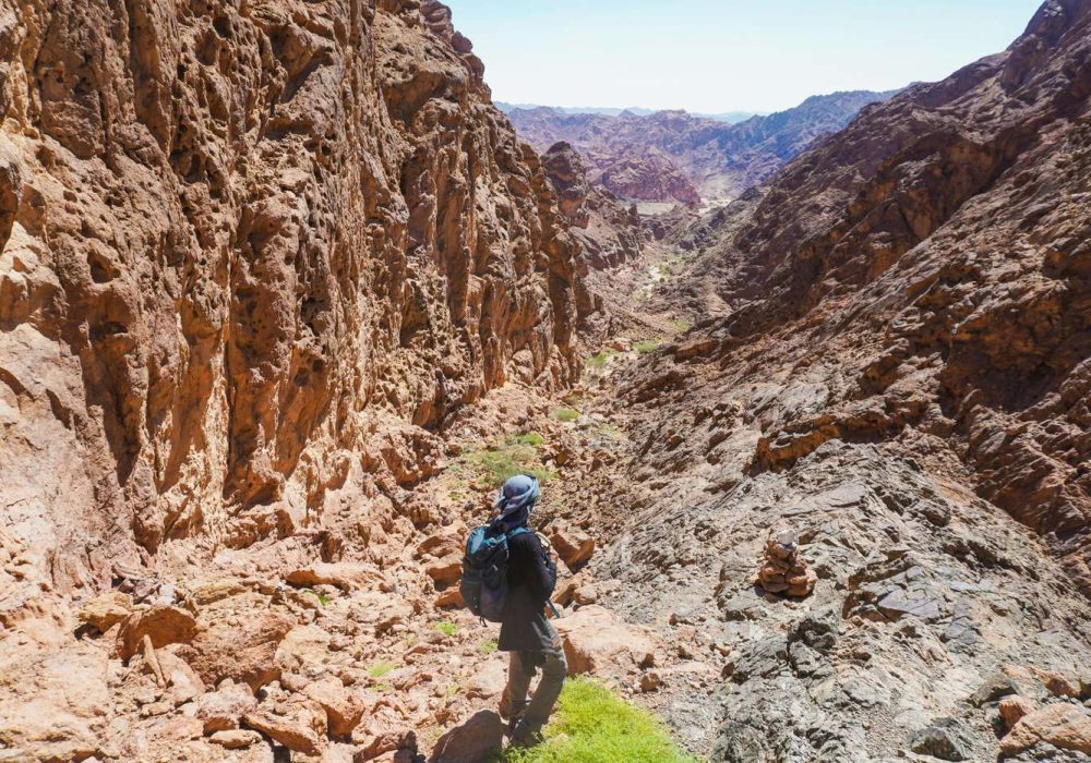 Featured image for blog post titled "Good Hikes in Palm Springs, CA: Our Top 7 Trails"