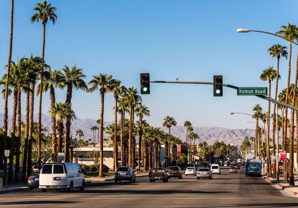 palm_springs_road (1) (1) (1)